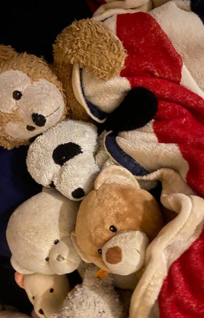 What is the purpose of life, if not to be warm and cozy? What is the purpose of life, if not to be warm and cozy?
